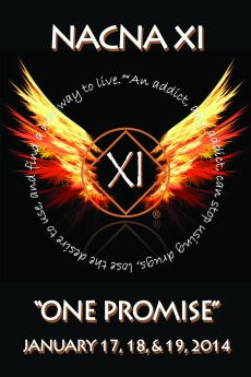 Joe G-Brooklyn-Recovery The Journey Continues-NACNA XI-One Promise-January-17-19-2014-Mellville-NY